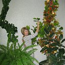 ���� �������, �����, 65 ��� - ��������� 6 ������� 2015 � ������ ���� ����������