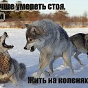 ���� ���������, ����, 71 ��� - ��������� 1 �������� 2015 � ������ ������ ��������