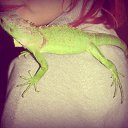 ���� Clyde, ���������, 32 ���� - ��������� 22 ��� 2015 � ������ ���� ����������