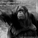 ���� Vladimip, �����������, 60 ��� - ��������� 5 ������� 2015 � ������ ���� ����������