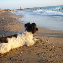 ���� �������� ���������, �����������, 63 ���� - ��������� 21 ������� 2015 � ������ �����