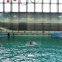 ���� ������, �����-���������, 70 ��� - ��������� 22 �������� 2015 � ������ �� ����������� �����-����������