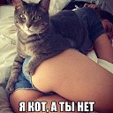 ���� ������, ������, 29 ��� - ��������� 3 ���� 2015 � ������ ���� ����������