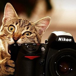 ���� Men, ������� - ��������� 28 ���� 2015