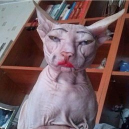 ���� ����, ��������, 53 ���� - ��������� 21 ��� 2015