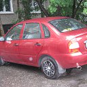 ���� ��������, ��������, 74 ���� - ��������� 5 ��� 2015 � ������ ���� ����������