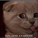 ���� �����, ��������� - ��������� 11 ��� 2015 � ������ ������ ��������