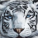 ���� �����, ����� - ��������� 2 ������� 2015 � ������ �������