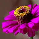 ���� �������, ������ - ��������� 24 ��� 2015 � ������ ���� ����������