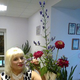 ���� ������� --, �������������, 63 ���� - ��������� 20 �������� 2015