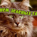 ���� �����, ������, 53 ���� - ��������� 17 ���� 2015 � ������ �������� ��������