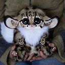 ���� ��������, ��� - ��������� 24 ���� 2015 � ������ ������ ��������