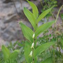 ������� ���� ����� ����. �� ������� ���� ����������