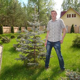 �����, �����-���������, 47 ���