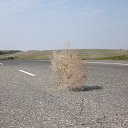 ���� S, �����������, 56 ��� - ��������� 29 ������� 2015 � ������ ���� ����������