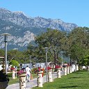 ���� ������, �����, 46 ��� - ��������� 2 ��� 2015 � ������ ������߻