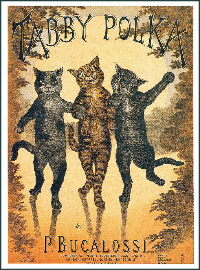 Cat in Old Ilustratives /     - 25
