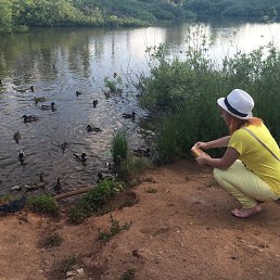 ���� ������, ���������, 37 ��� - ��������� 29 ������� 2015