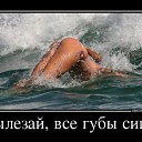 ���� ����, ������ - ��������� 9 ���� 2015 � ������ ������ ��������