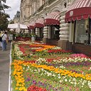 ���� ������, �����������, 53 ���� - ��������� 9 �������� 2015 � ������ ���� ����������