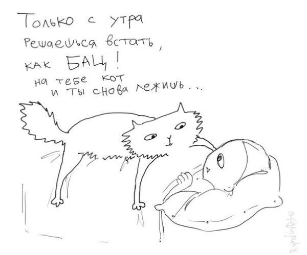  - 23  2015  11:45