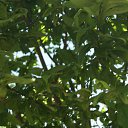 ���� �����, �����, 48 ��� - ��������� 20 ���� 2015 � ������ ���� ����������