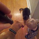 ���� ������, ����, 61 ��� - ��������� 24 ���� 2015 � ������ ������ ��������