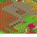  *Imagine*, -, 40  -  3  2015    