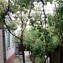  Nokas, , 44  -  18  2015    18  2015 .. 