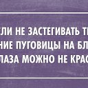 ���� ������, �����-���������, 55 ��� - ��������� 25 ��� 2015 � ������ ���� ����������