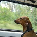 ���� ������, �������� - ��������� 20 �������� 2015