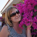 ���� ��������, ������, 46 ��� - ��������� 12 ��� 2015 � ������ ���� ����������