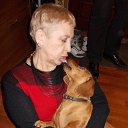 ���� �����, �������, 68 ��� - ��������� 10 ���� 2015 � ������ ������ ��������