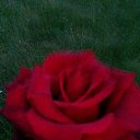 ���� ���������, ������ - ��������� 31 ������� 2015 � ������ ���������� ������