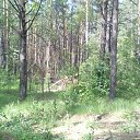 ���� Lucke, ������ - ��������� 15 ���� 2015 � ������ ���� ����������