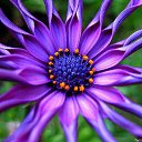 ���� Alehandro, ����������, 53 ���� - ��������� 2 �������� 2015 � ������ ���� ����������