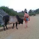 ���� ����, ������, 57 ��� - ��������� 2 ���� 2015