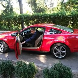 ���� ����, ����, 36 ��� - ��������� 5 �������� 2015