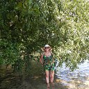  , , 68  -  6  2015    2015