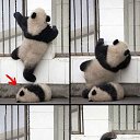 ���� ��������, ������, 53 ���� - ��������� 11 ��� 2015 � ������ ������ ��������