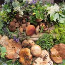  , -- -  14  2015    2015