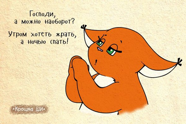 20 комиксов с девичьей правдой от белки Ши. Обаятельную толстушку с кисточками на ушах придумала ... - 8