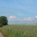 eselborn �� ������� ���� ����������