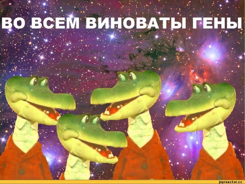 ��� ����� ��������� ������� �������� � ������: - ��� �� �������, ��� �������: �������� ��� ...