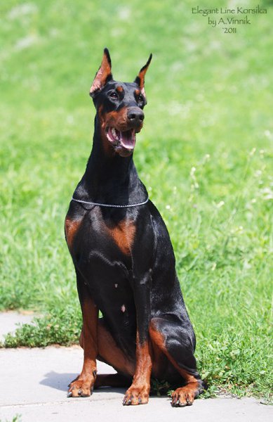 ����� ������� - 8 �������� 2015 � 18:05 - 2