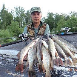 ���� ��������, ������� �����, 71 ��� - ��������� 24 ���� 2015