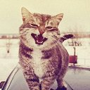 ���� Evgeni, ������ ��������, 33 ���� - ��������� 19 ���� 2015 � ������ ���� ����������