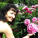 ���� ������, �����������, 55 ��� - ��������� 19 ������� 2015 � ������ ���� ����������