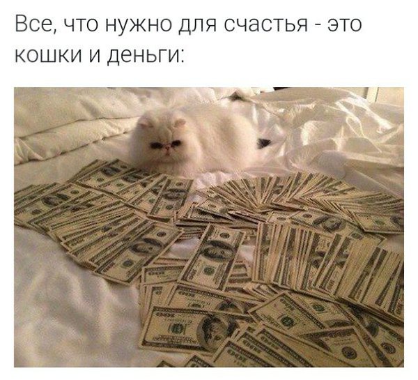       - 19  2015  12:41