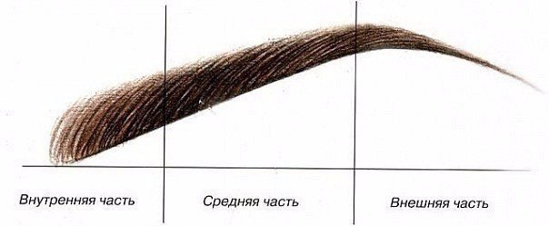 Идеальная форма бровей для вашей формы лица.1. Закругленная форма бровей — смягчает черты лица и ...